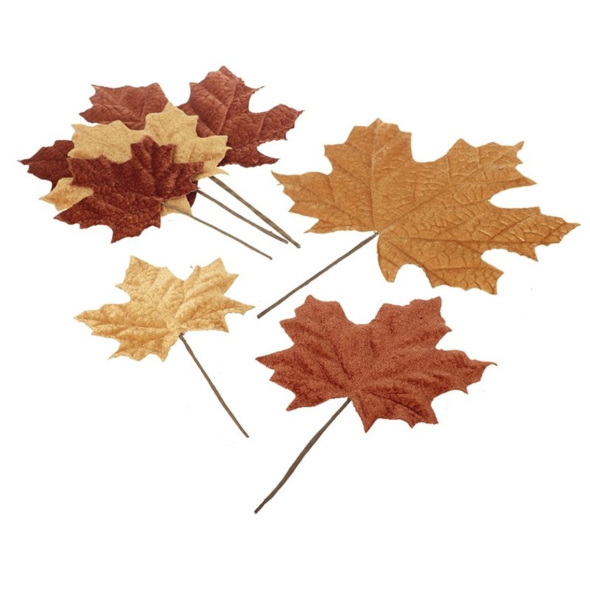 Autumnal Leaves