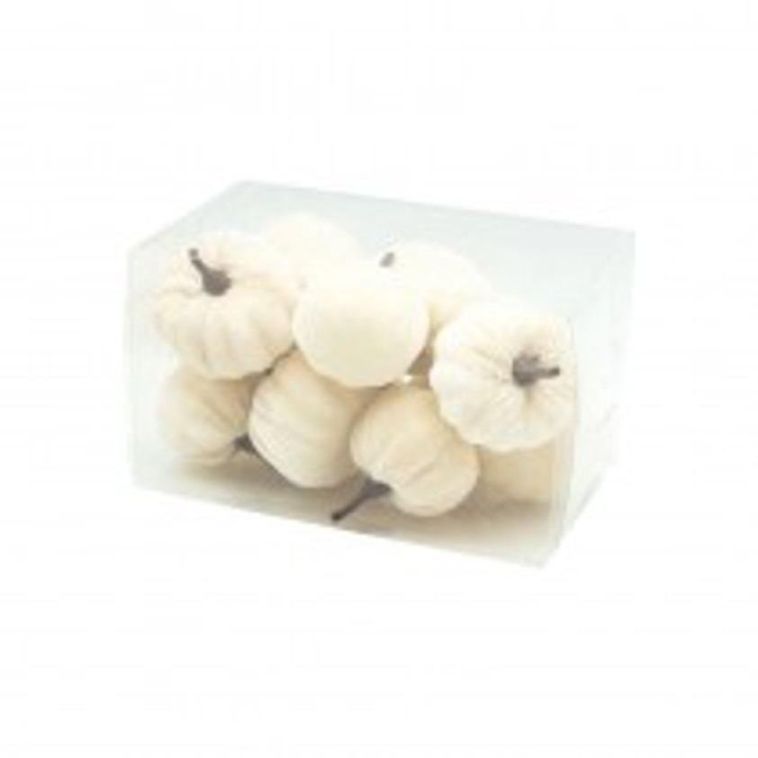 Cream Box of 12 Velvet Pumpkins small
