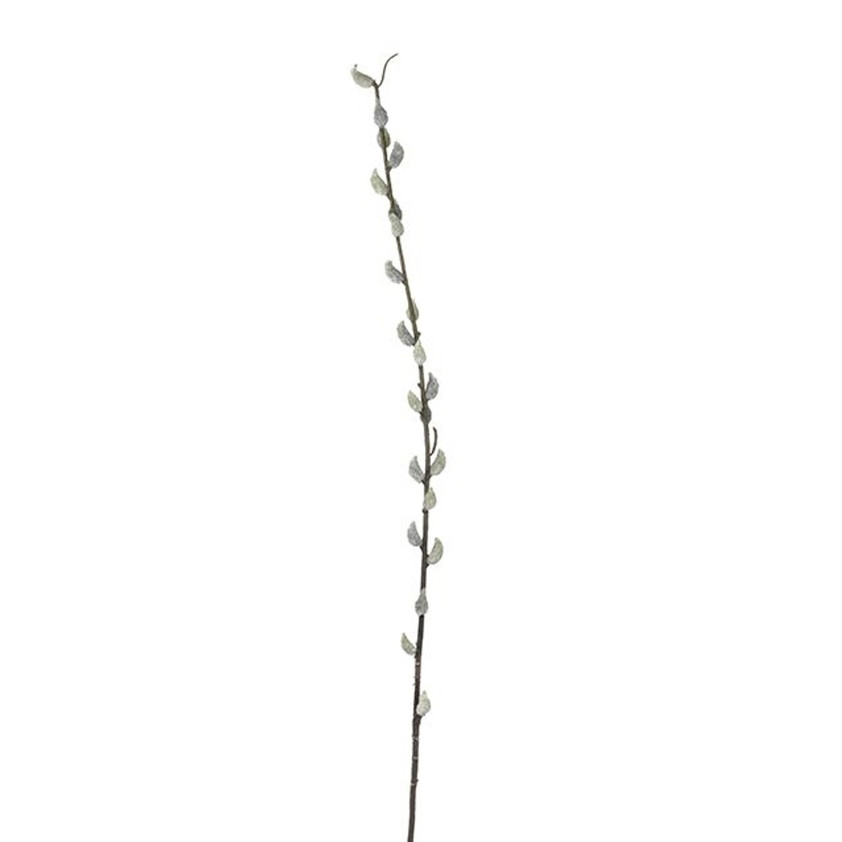 80cm Pussy Willow Stem