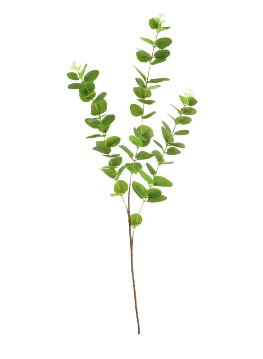 Printed Eucalypyus Spray Vibrant Green