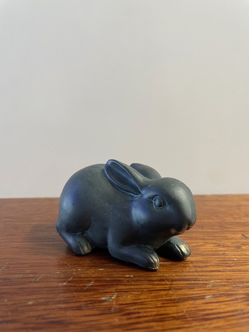 Rabbits Sold individually