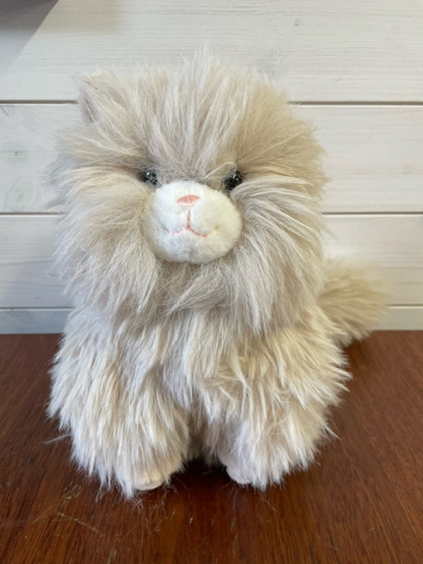 Warm Latte Ragdoll Cat