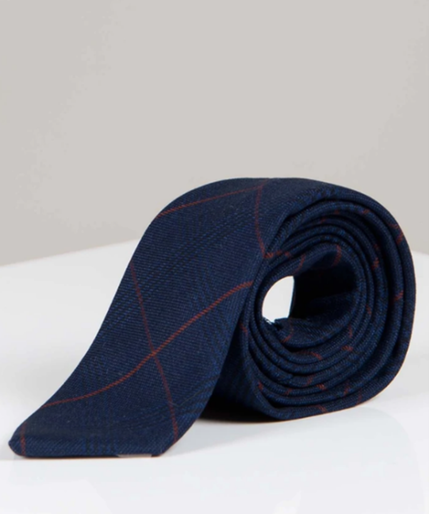 Edinson Check Tie Navy