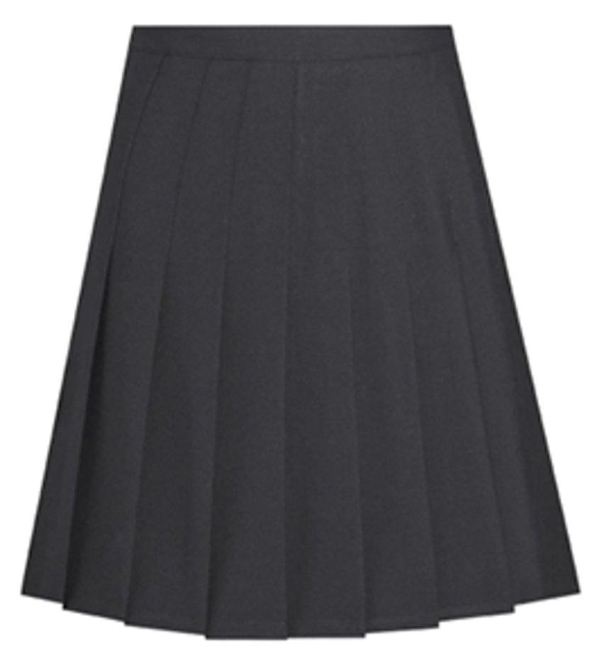 Charcoal Drop Waist Pleated Skirt 22"-40" Waist