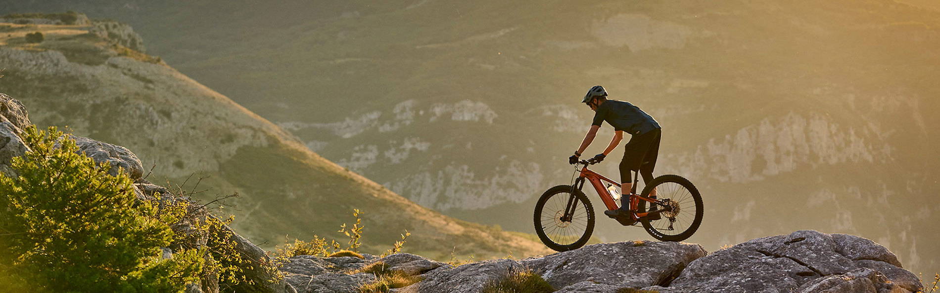 Electric Bikes