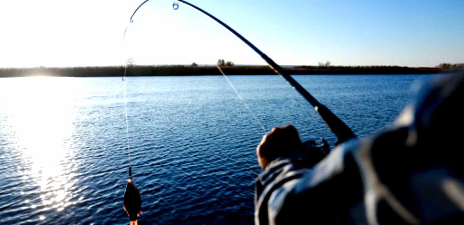 Predator fishing