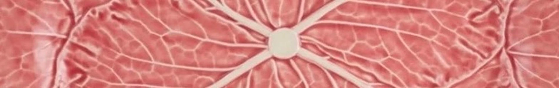 Ceramic Plates