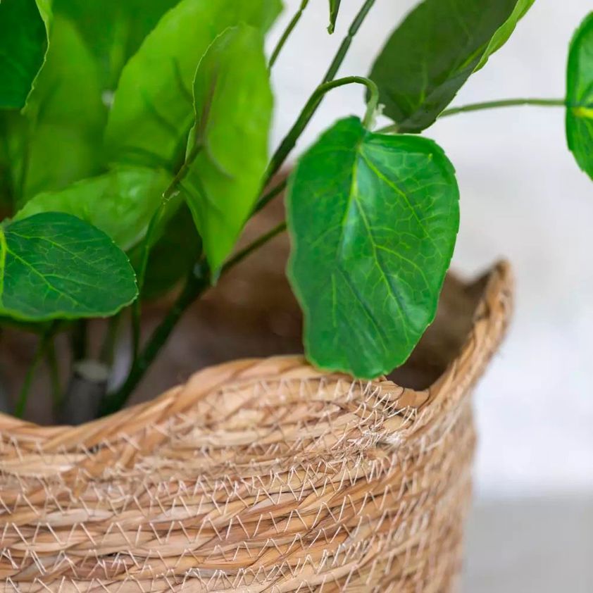 Natural Seagrass Basket Planter