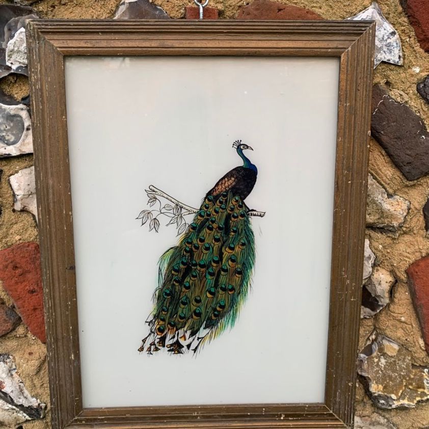 Reverse Painting on Glass of a Peacock