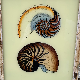Product swatch