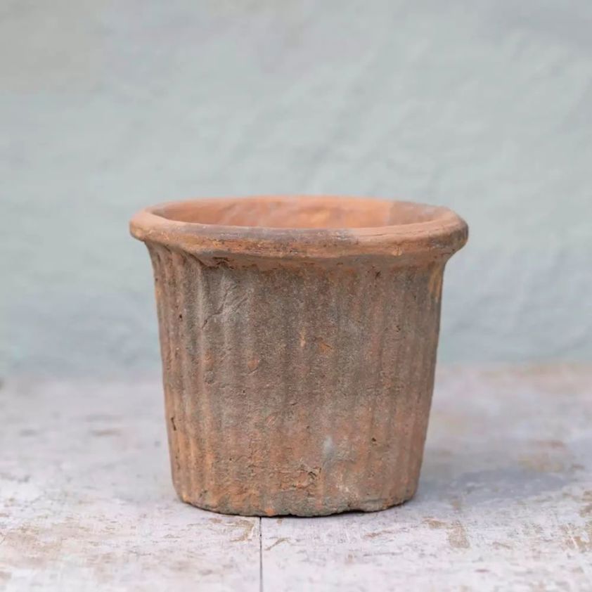 Small Terracotta Plant Pot