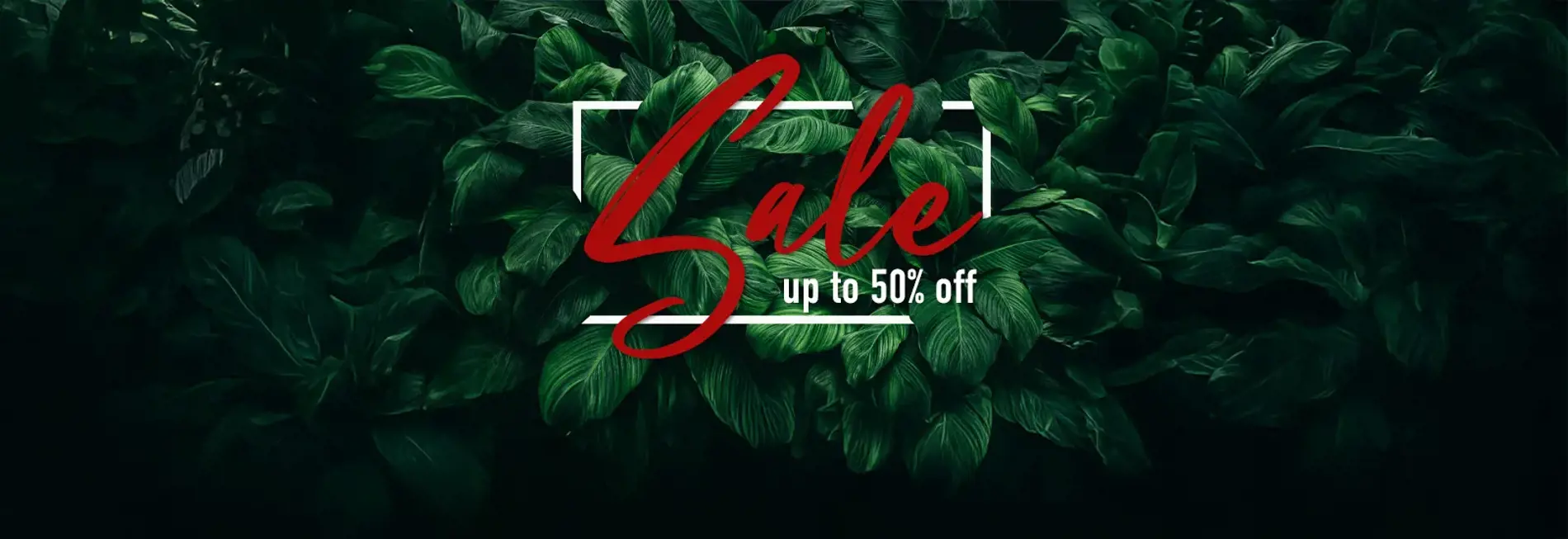 SPECIAL OFFERS