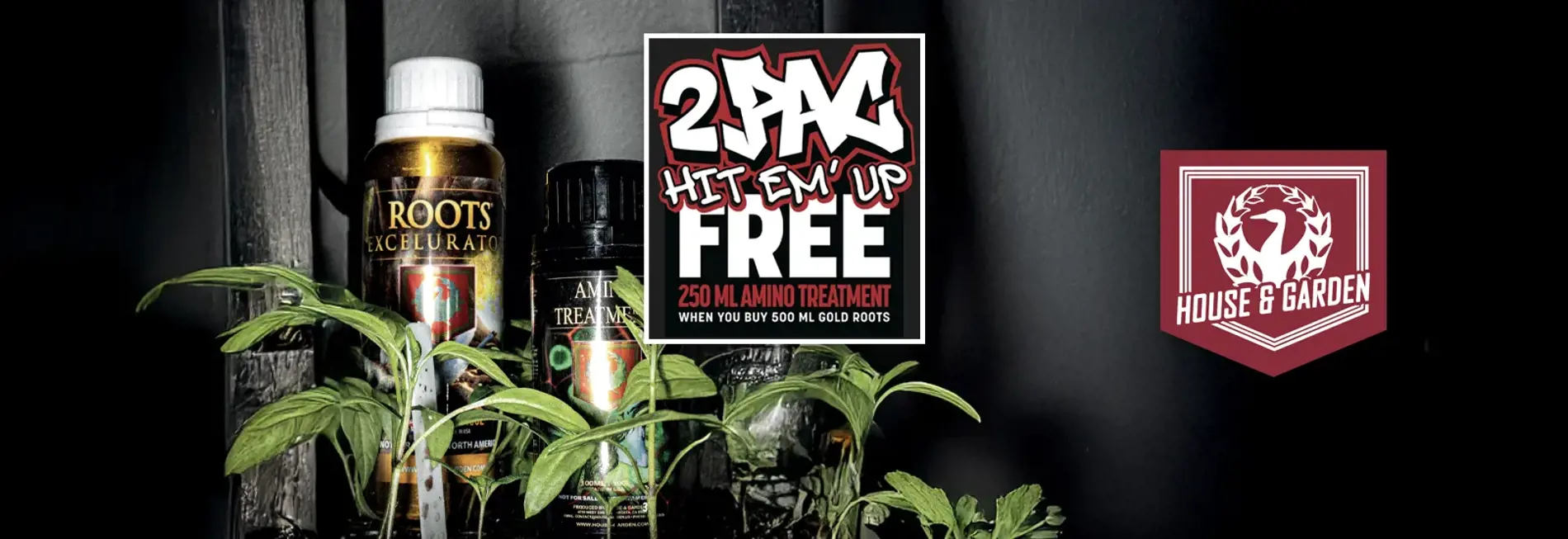 FREE 250ML AMINO TREATMENT