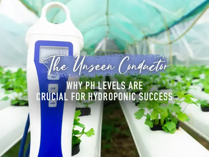 The Unseen Conductor: Why pH Levels Are Crucial for Hydroponic Success