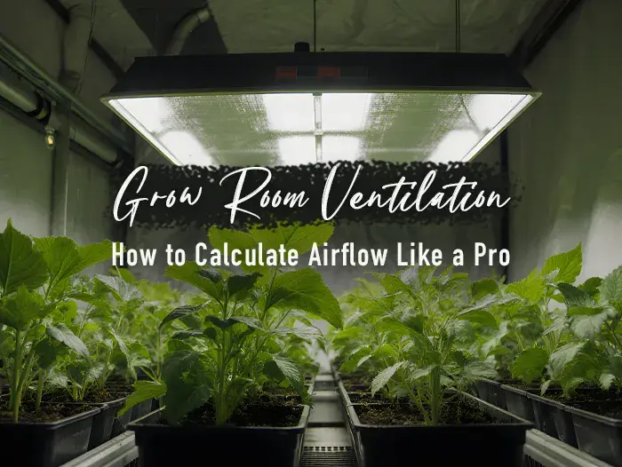 Grow Room Ventilation: How to Calculate Airflow Like a Pro