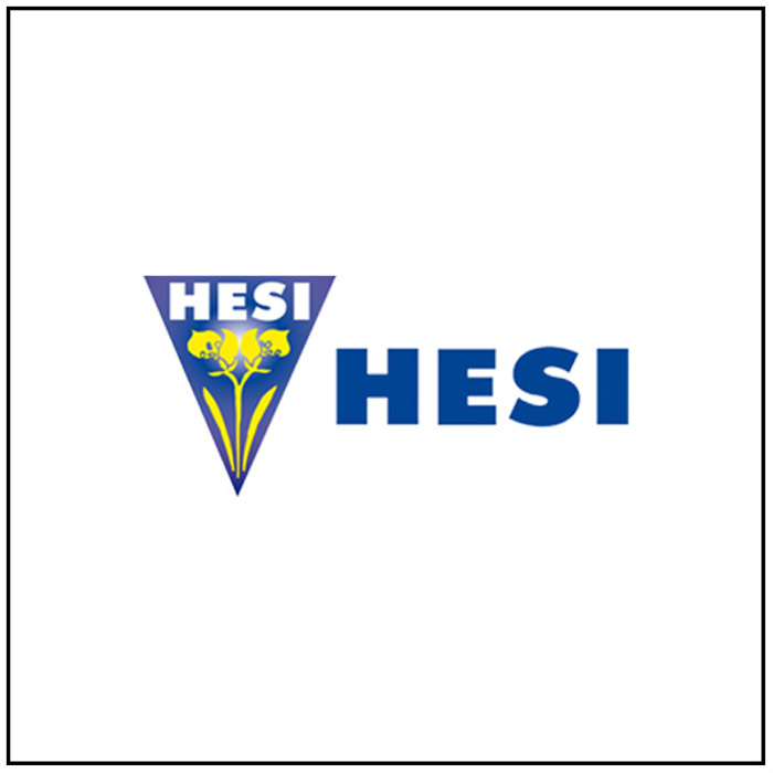 Hesi