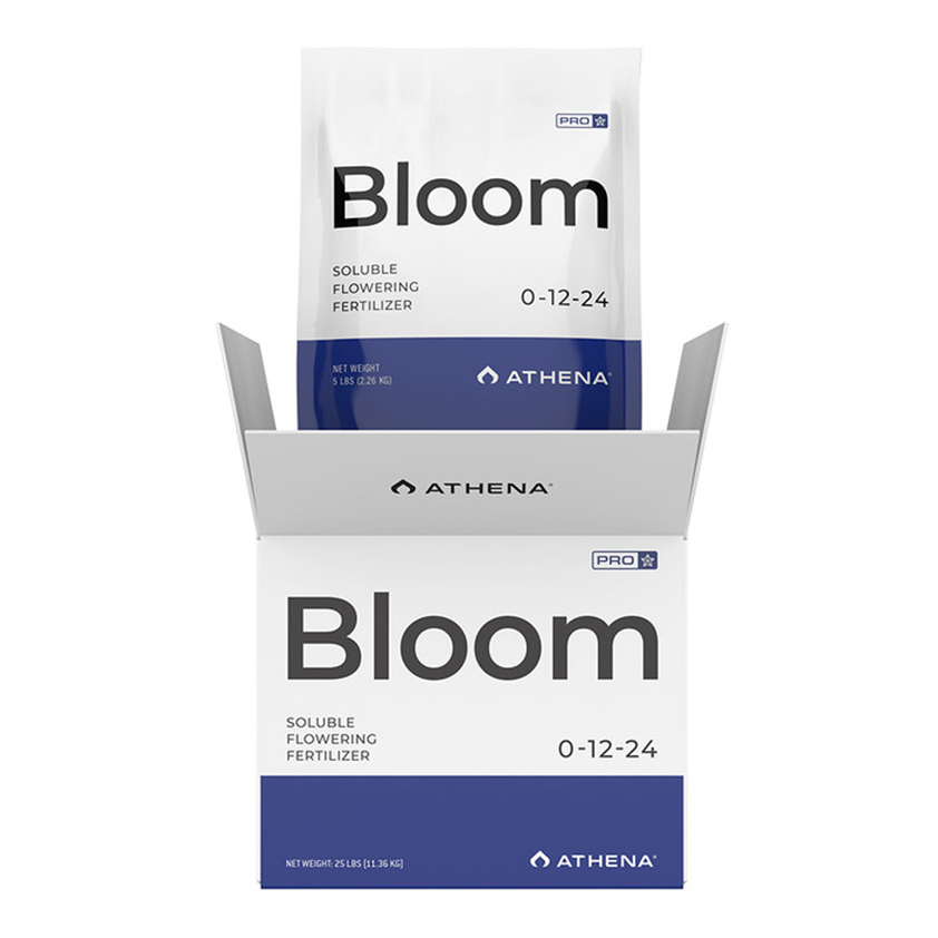 Bloom (Pro)