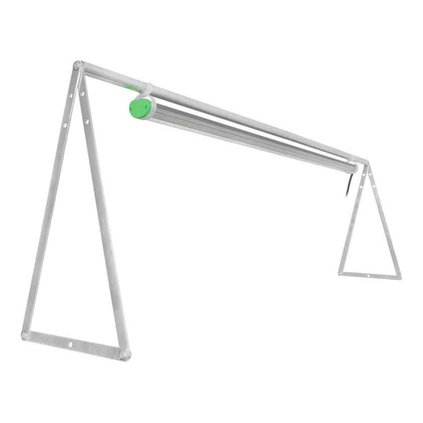 Light Stand - Double