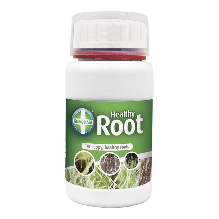 Healthy Root