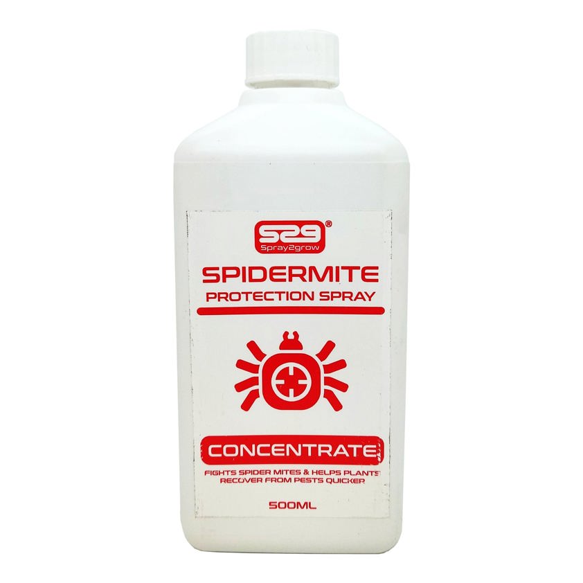 Spider Mite Protection Spray (Concentrate)