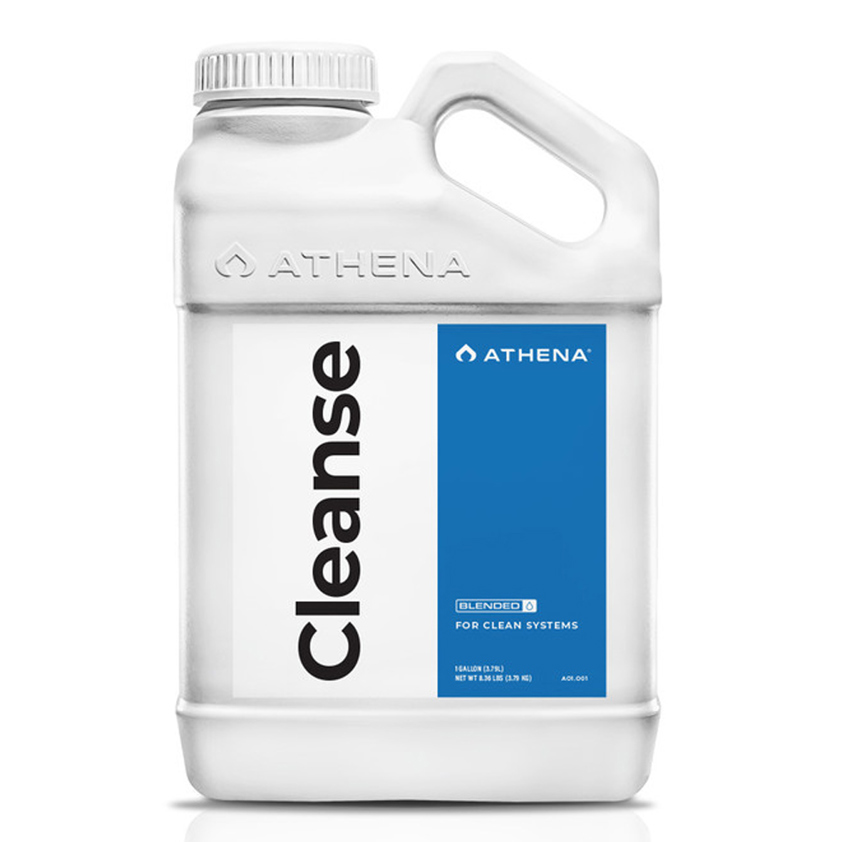 Cleanse (Blended)