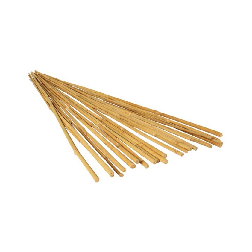 Bamboo Plant Stakes