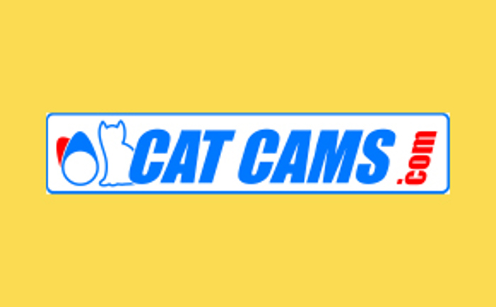 Cat cams
