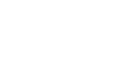 Volt