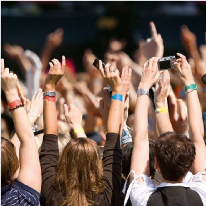 Wristband Identification