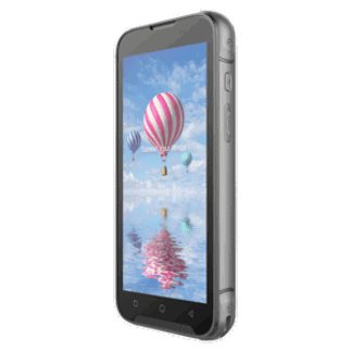 Bluebird EF551, 2D, SE5500, 14 cm (5.5''), GPS, hot-swap, USB-C, BT (BLE), Wi-Fi, eSIM, 5G, NFC, Android, GMS, RB