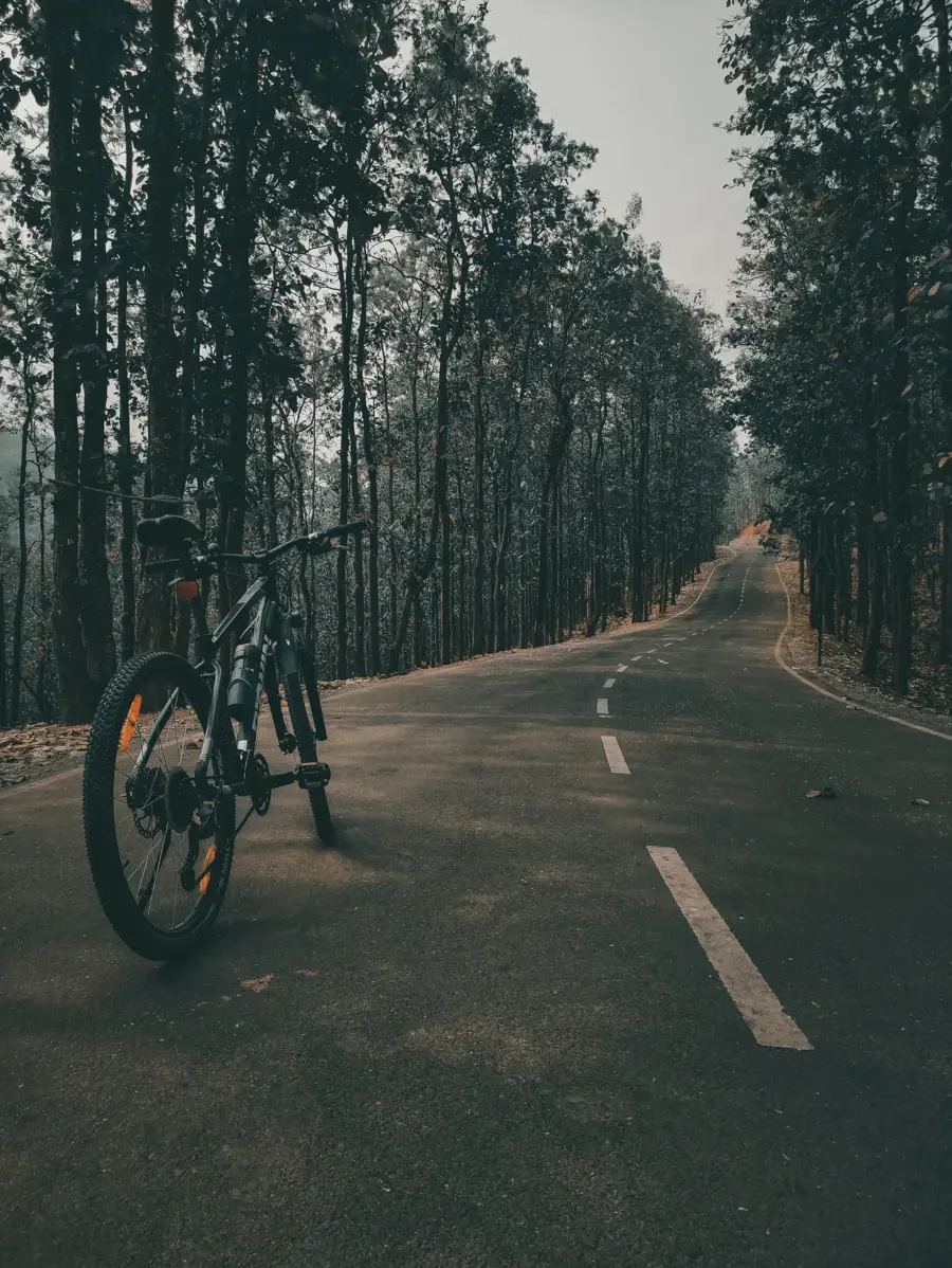 Hybrid Bikes