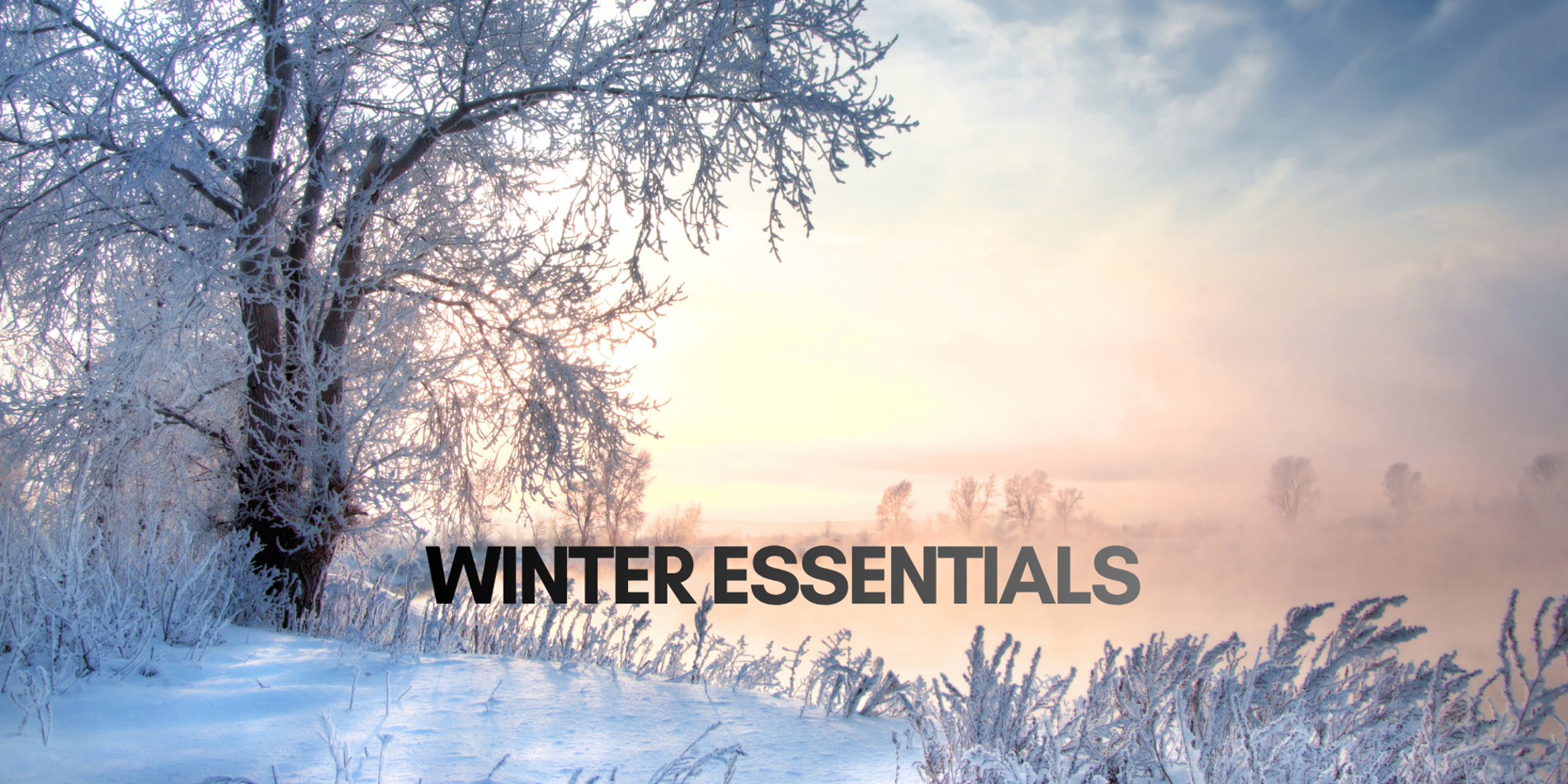 WINTER ESSENTIALS