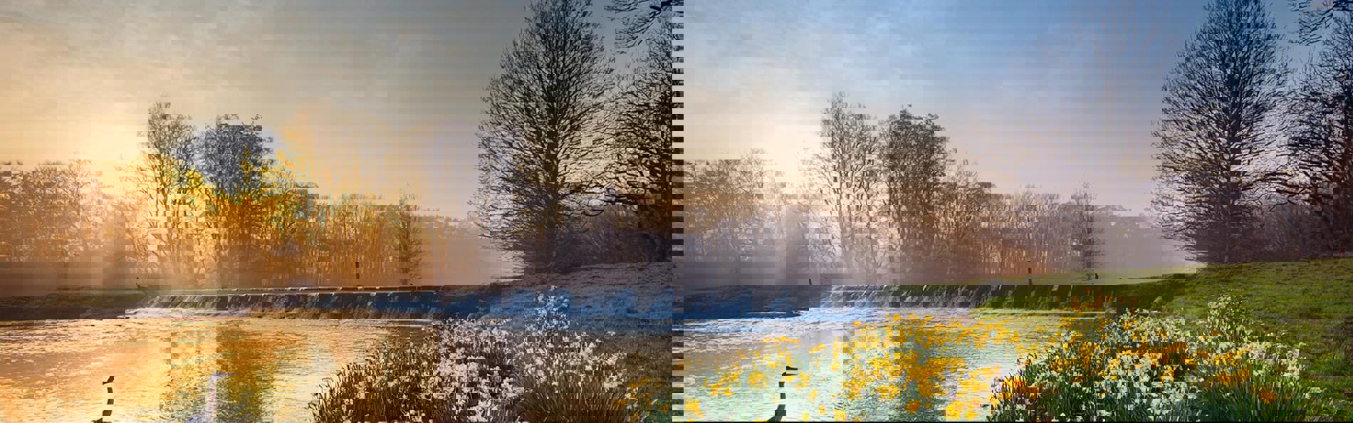 Specialist Mega Deals