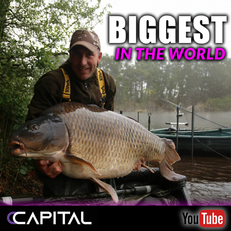 The BIGGEST CARP in the WORLD with Simon Crow