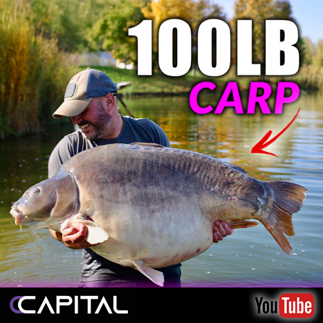 CATCHING A 100lb CARP!! 😱 Guesting with Dave Levy