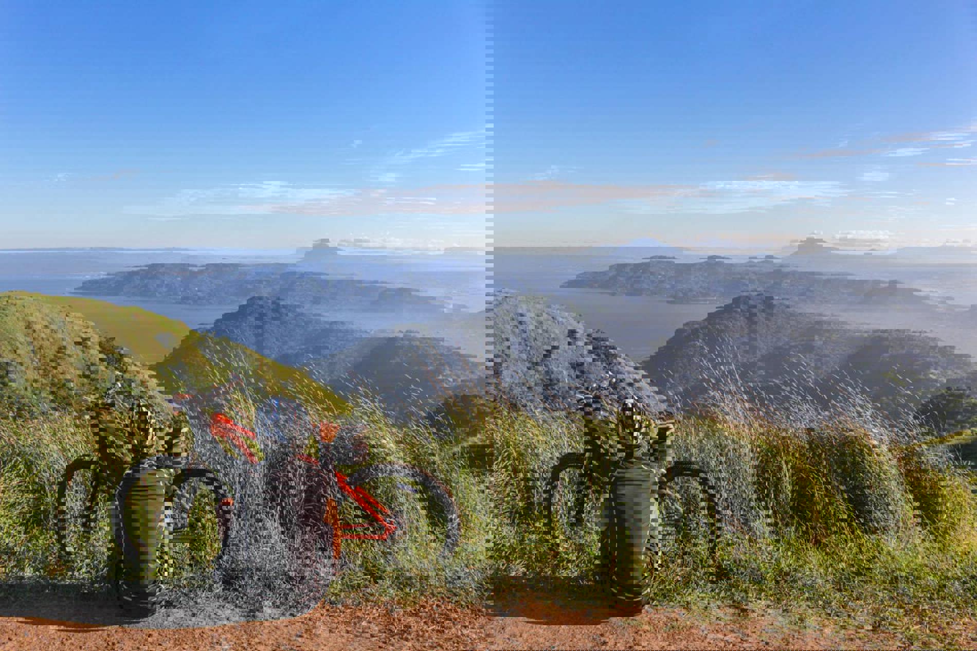 Saledock.Ecommerce.Core.Models.ImageDTO