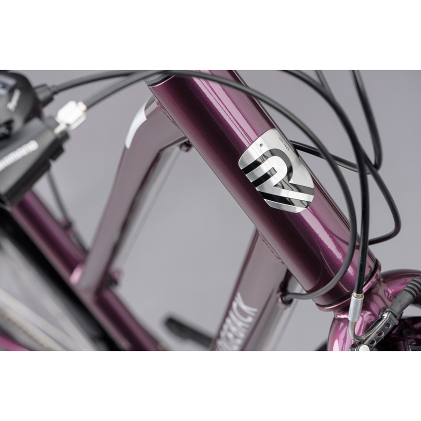 Ridgeback Speed Open Frame Step-Through Hybrid | Aztecs