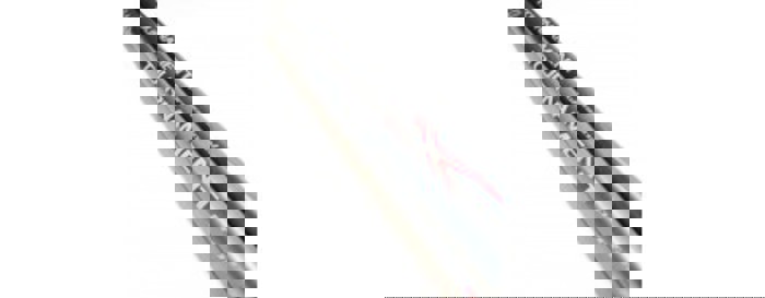 Daiwa Tournament Pro X TNPX160-BU