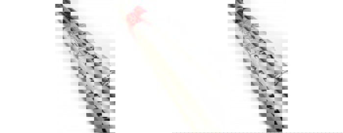 Daiwa TDZR3 TDZRP3-145AU