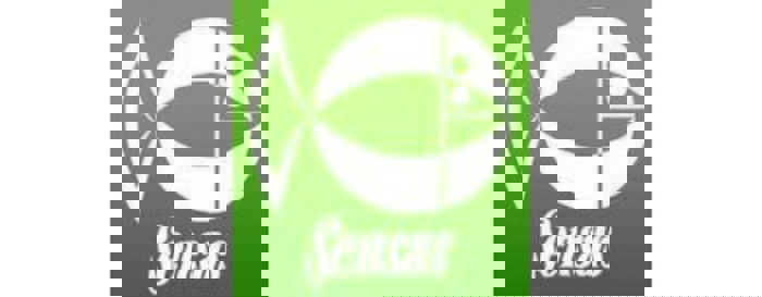 Sensas Pole Sections