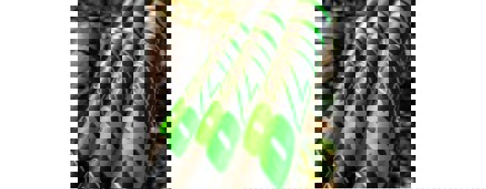 Maver Signature Pro 821