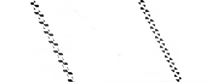 Map TKS Power Carp 1