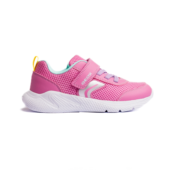 Trainers