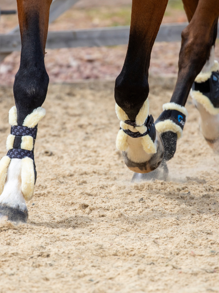 Tendon and Fetlock Boots
