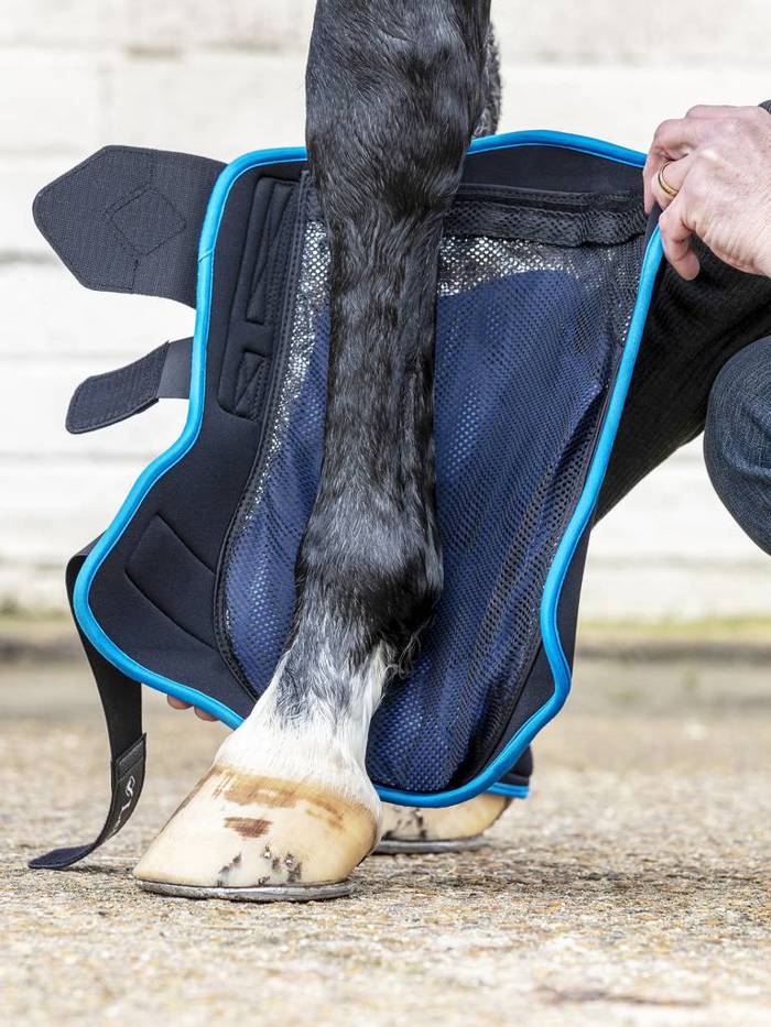 Stable and Therapy Boots