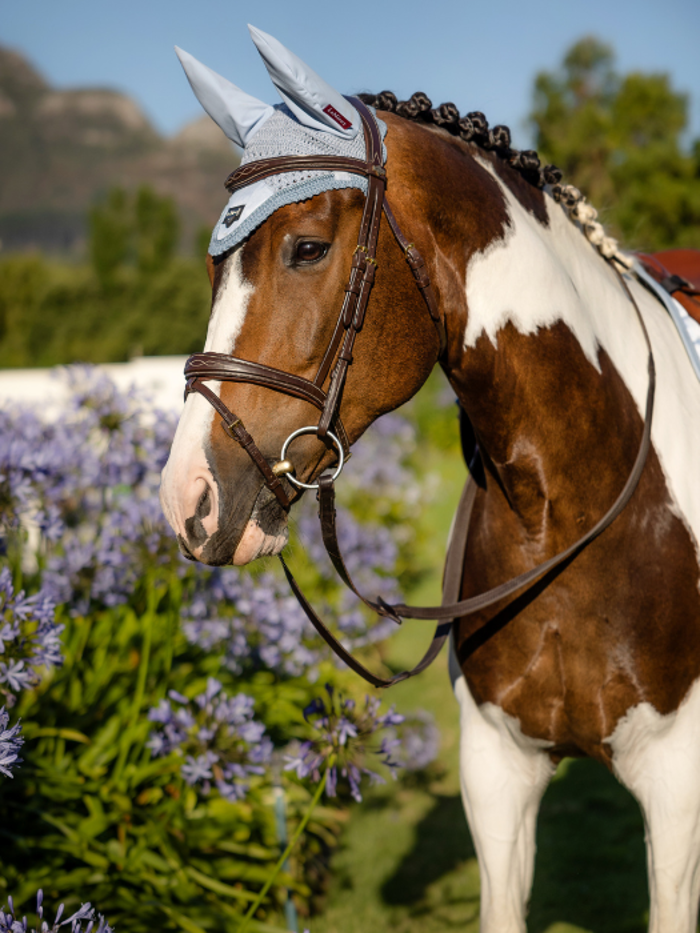 Competition Ears and Veils