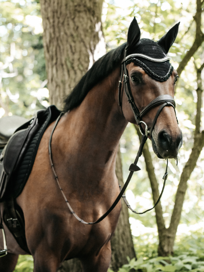 Saddlery and Tack