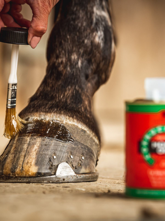 Hoof Care