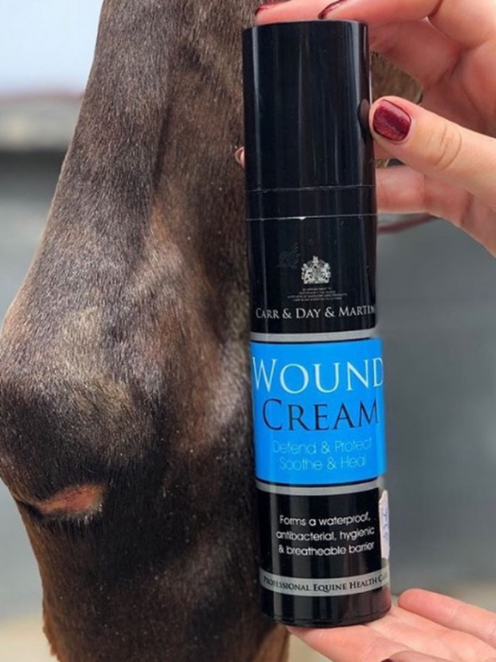 First Aid and Healing