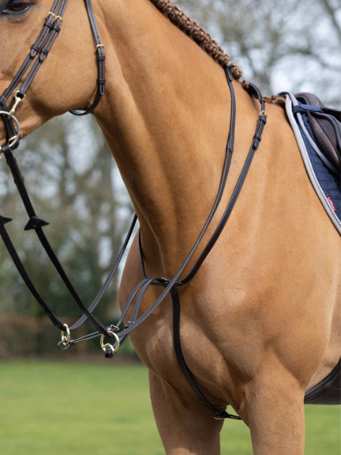 Martingales and Breastplates